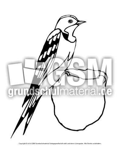 Ausmalbild-Schalbe.pdf